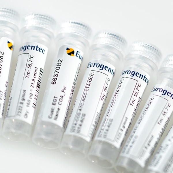 Eurogentec Oligo – Visokokvalitetni oligonukleotidi za preciznu analizu