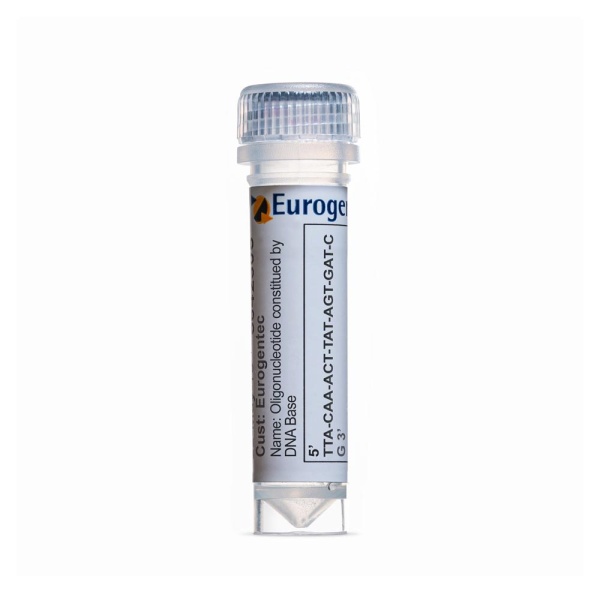 Eurogentec Oligo – Visokokvalitetni oligonukleotidi za preciznu analizu